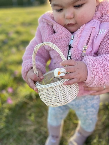 Easter basket egg hunt - easter,